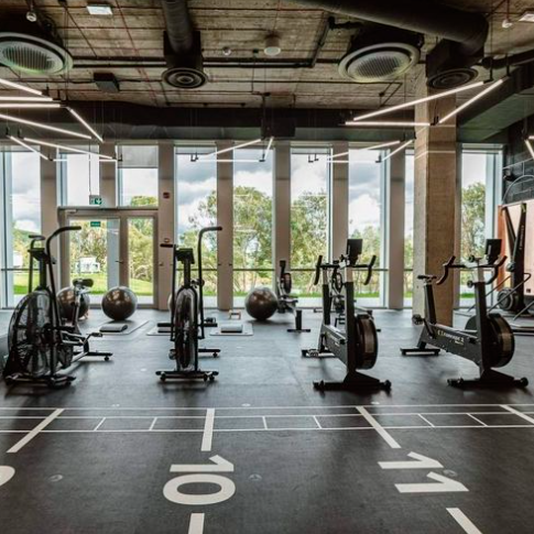 suelos cinéticos Pavegen gimnasios del futuro 1kWh/100 usuarios energía renovable pisadas