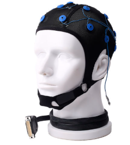 Ondas cerebrales neurociencia deportiva alfa beta theta neurofeedback tDCS plasticidad neuronal