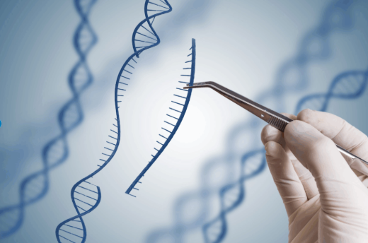 Mano con guante sujetando unas pinzas que recortan un fragmento de ADN, ilustrando el concepto de edición genética precisa mediante la tecnología CRISPR.